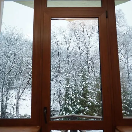 מלון Girskiy Prutets 4*