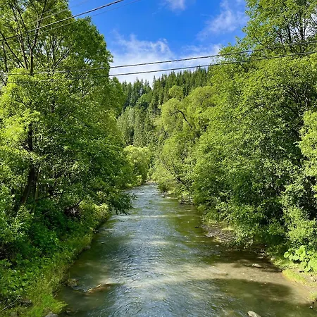 מלון Girskiy Prutets 4*