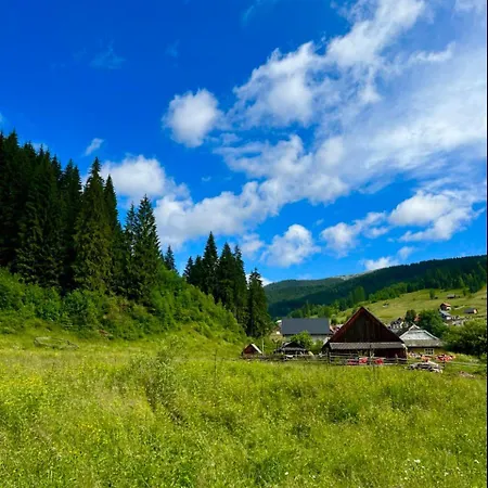 Girskiy Prutets Bukovel