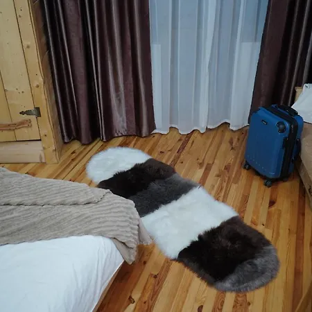 호텔 Girskiy Prutets 4*