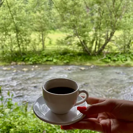 호텔 Girskiy Prutets 4*