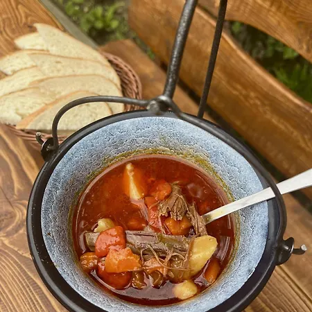 호텔 Girskiy Prutets 4*