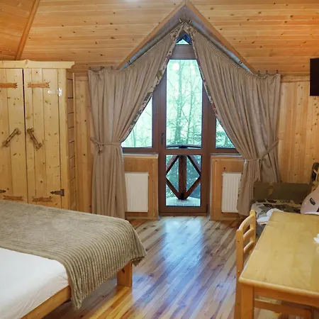 горный прутец 4* Буковель
